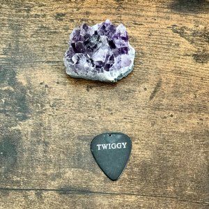 Memorabilia - Twiggy Ramirez USED Pick (Marilyn Manson)